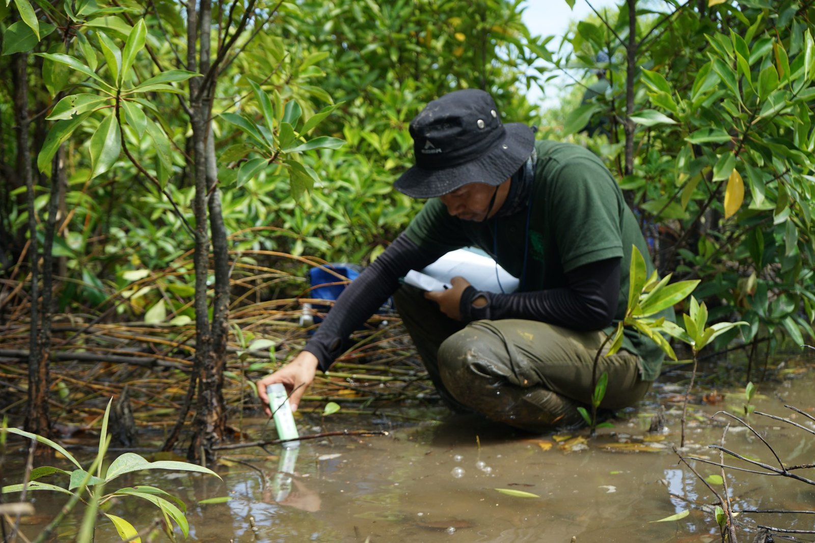 Research and Dedication